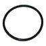 Velký o-kroužek pro filtry Cintropur NW18/25/32 (REF. 11)
