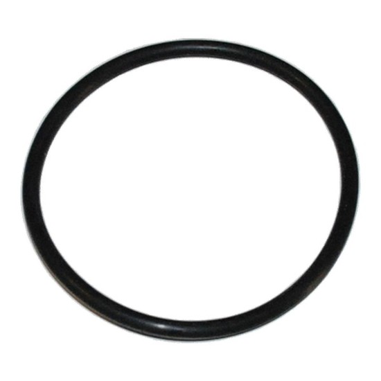 Velký o-kroužek pro filtry Cintropur NW500/650/800 (REF. 55)